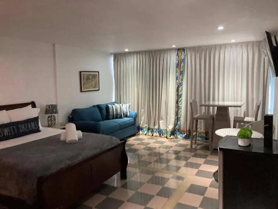Cozy Oceanview Studio W Parking San Juan Apartment